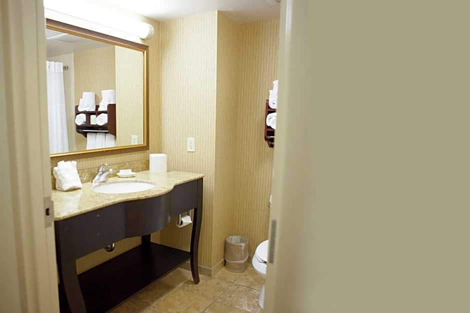 Hampton Inn By Hilton Rochester-Webster