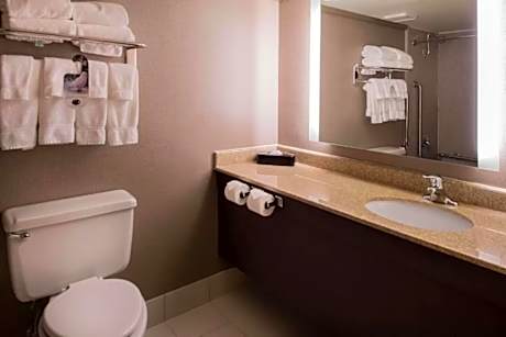 1 King Standard Communications Accessible Tub