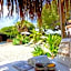 B&B Villa Pinos Málaga