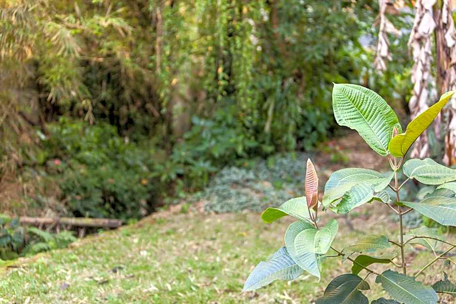 Pousada Quatro Estacoes