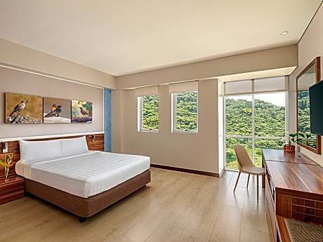 Standard Mountain View