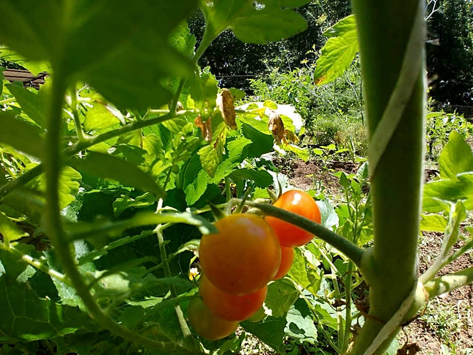 Vitrage Holiday Village and Spa