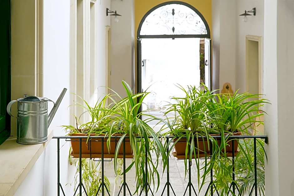 B&B Dimora San Vincenzo