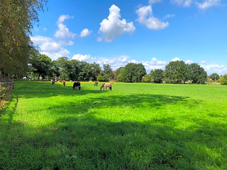 Boerderij de Enkhoeve