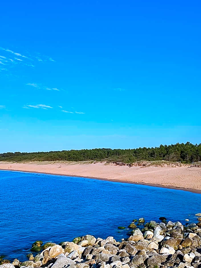 Hôtel Bar Restaurant La Marie Galante