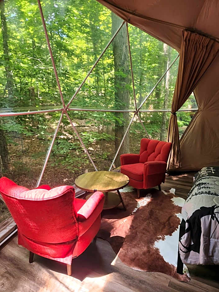 Dômes nordik 4 saisons