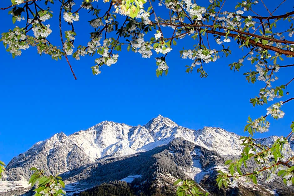 Residence Sonnenburger - Biobauernhof - Azienda agricola biologica