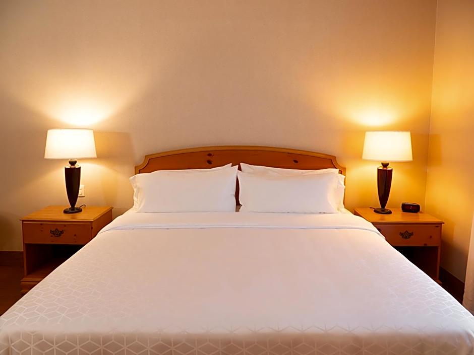 Holiday Inn Express Silao-Aeropuerto Bajio By IHG