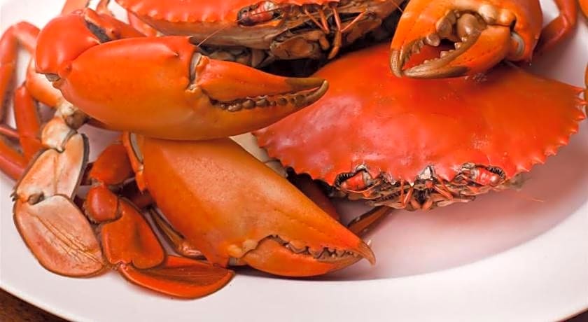 OYO 3189 HSP Residence