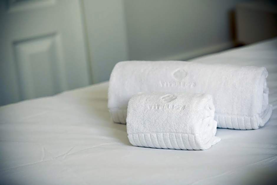 viterbo'8 - The Artists House