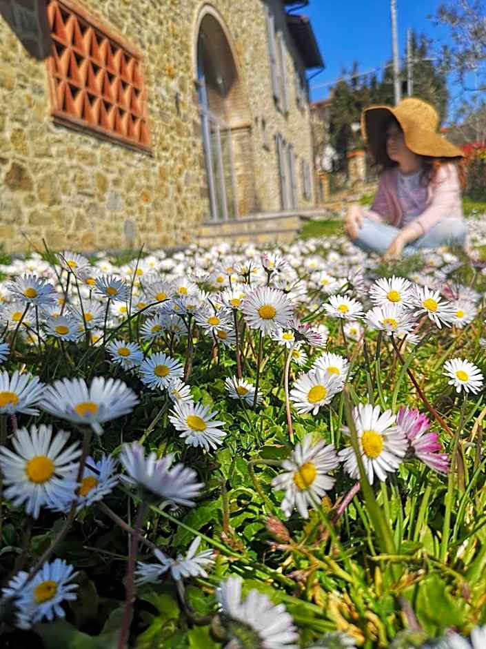 Alba Morus Bed & Breakfast sentiti a casa nel cuo