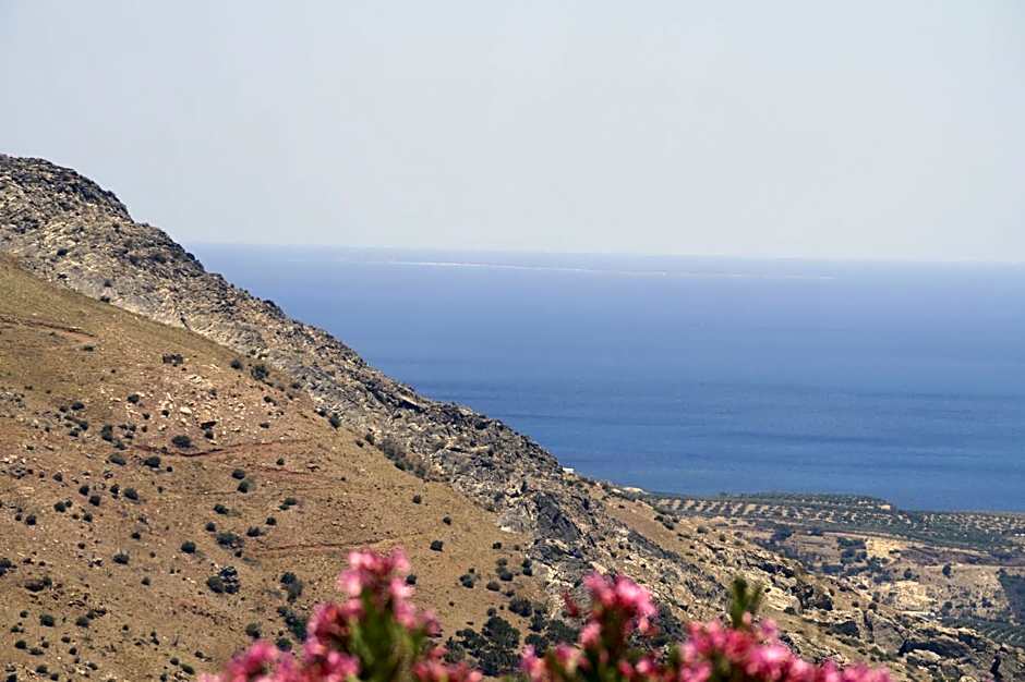 Jason Rooms & Studios