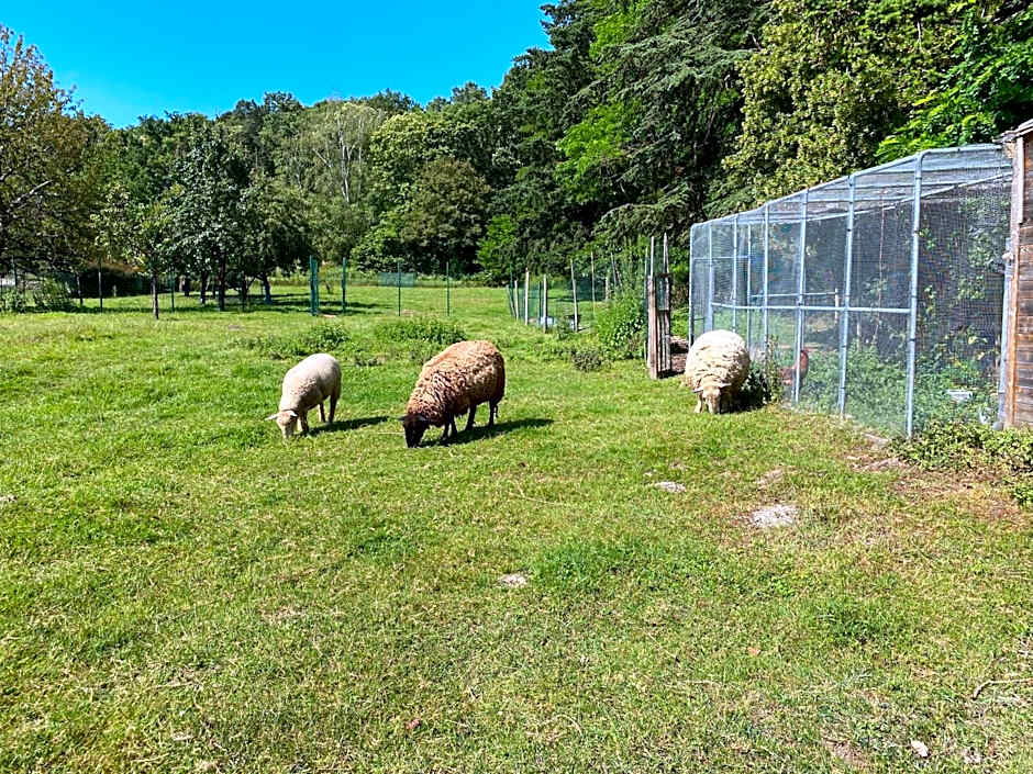 Les Mariniers Chambres d'Hôtes à la campagne avec aire de jeux - Spa nordique en option