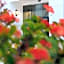 SENTIDO Aequora Lanzarote Suites