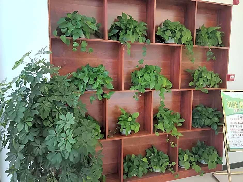 Vatica Jieshou City New Passenger Transport Center Hotel