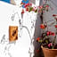 Riad Sashema