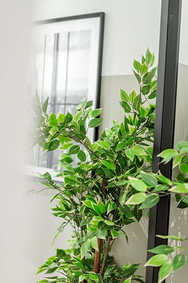 Nice Central City Room