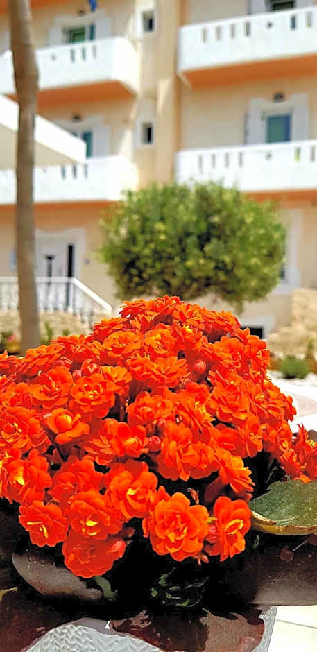 Alonia Hotel