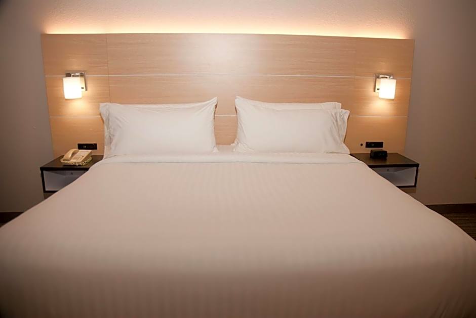 Holiday Inn Express Hotel & Suites Athens By IHG