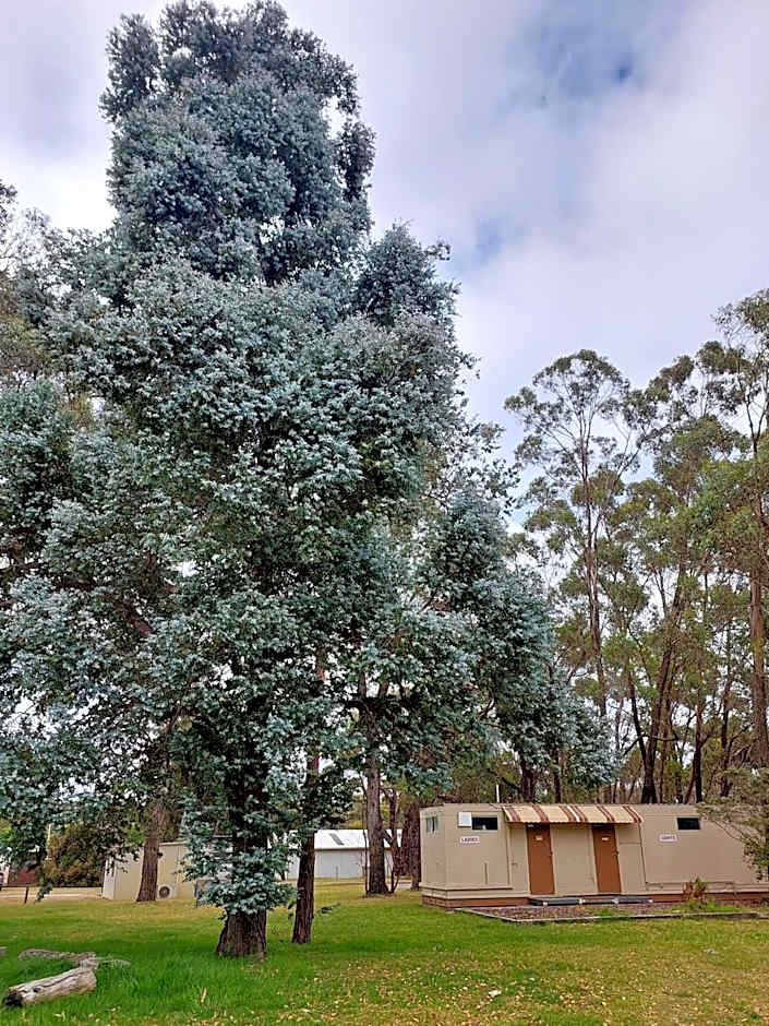 Mt Barker Holiday Park - Western Australia