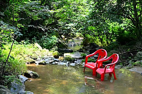 Forest Squirrel Pension