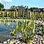 Lavendine Pure Guesthouse
