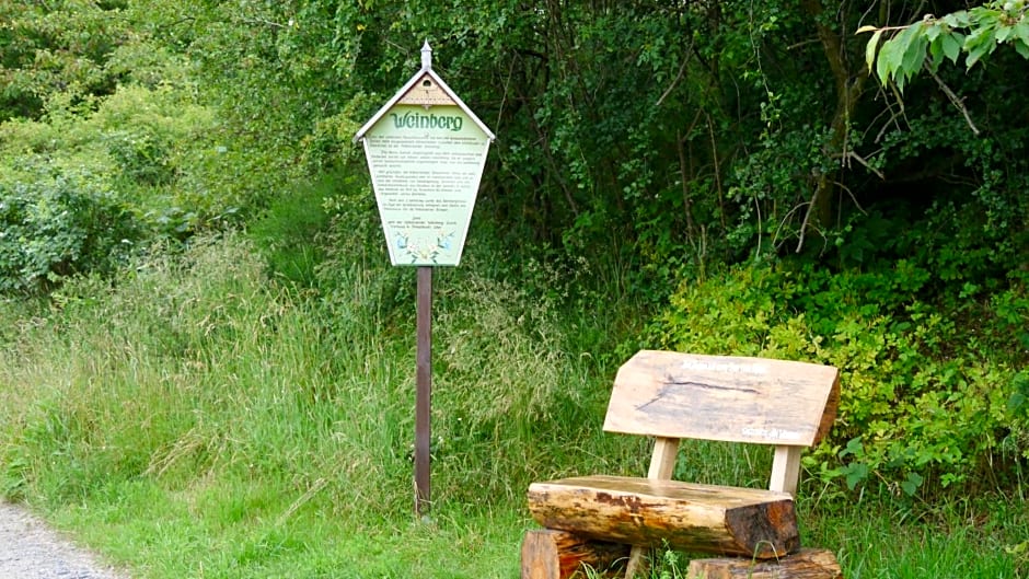 Pension Am Weinberg Sächsische Schweiz