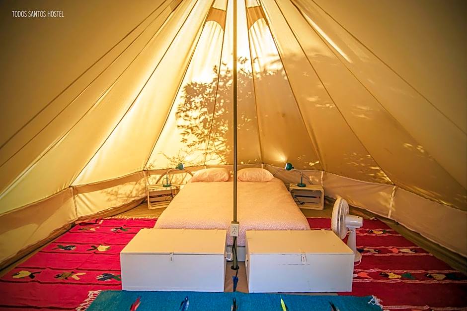 Todos Santos Hostel super fast and stable satellite wifi