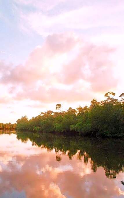 Hull River Guesthouse Mission Beach