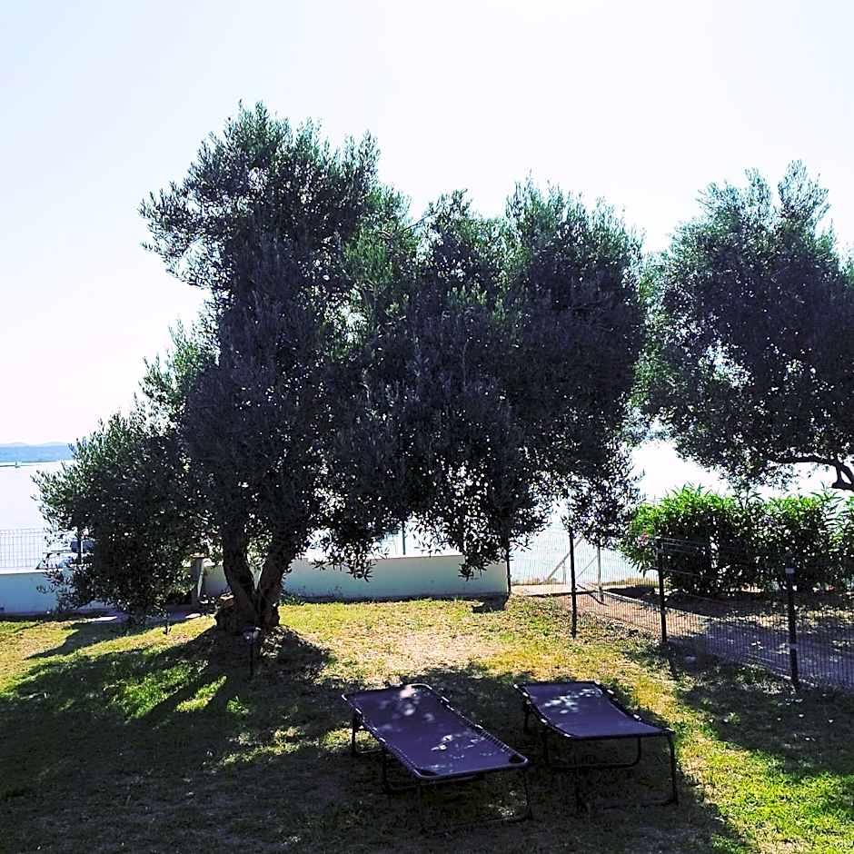 Petra's garden