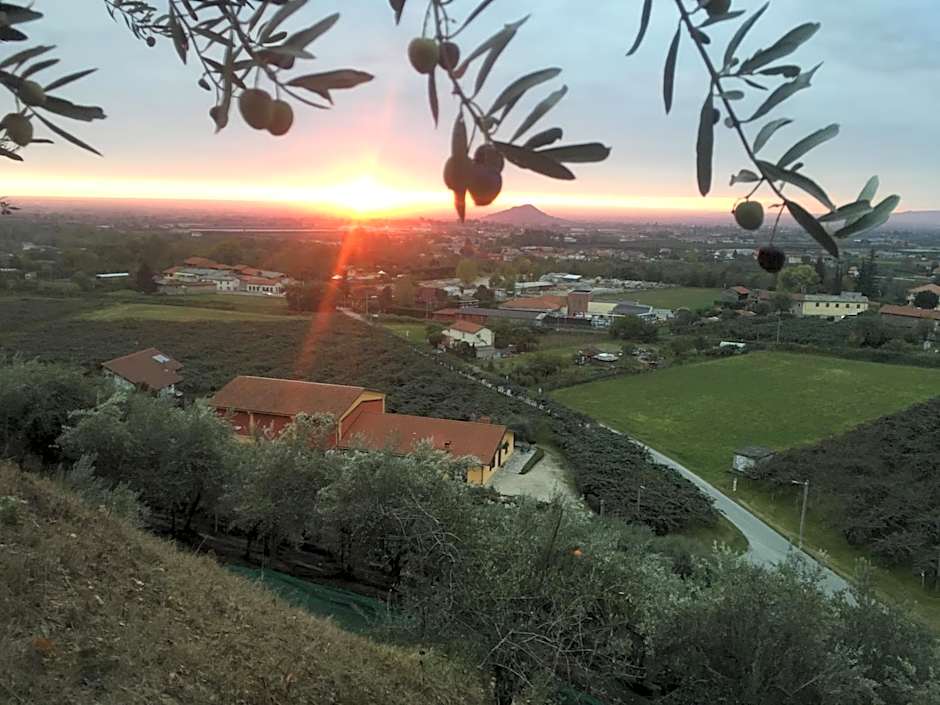 Agrialpi by Salfrutta