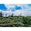 Hotel Thomas Nago - Vacation STAY 40485v