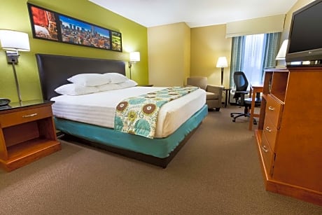 Deluxe King Room