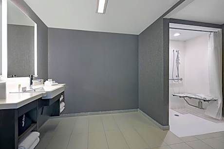 Queen Suite with Sofa Bed and Roll-in Shower - Mobility and Hearing Accessible