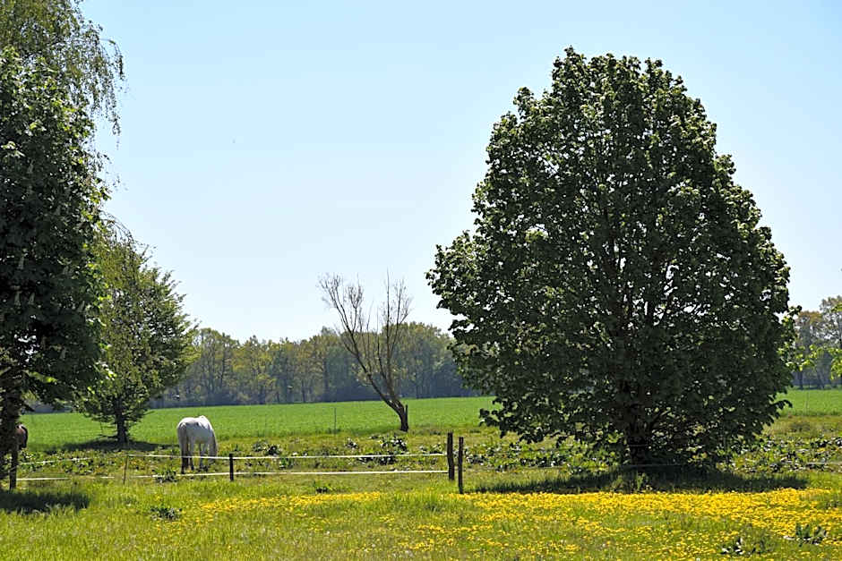 Gutshaus Volzrade Hotel & Ferienwohnungen in Elbnähe