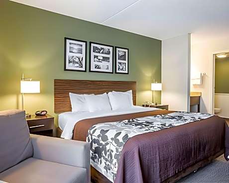 1 King Bed Nonsmoking
