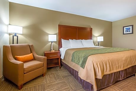 1 King Bed, Nonsmoking, Accessible