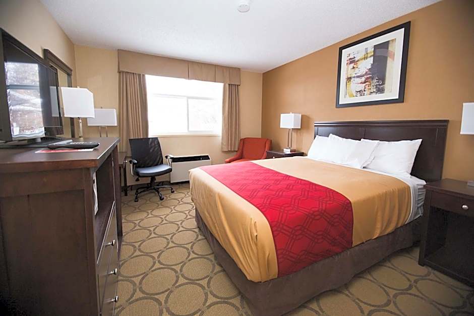 Photo 1 of 8 of 1 Queen Bed