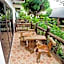 Paradise Pearl Bungalows