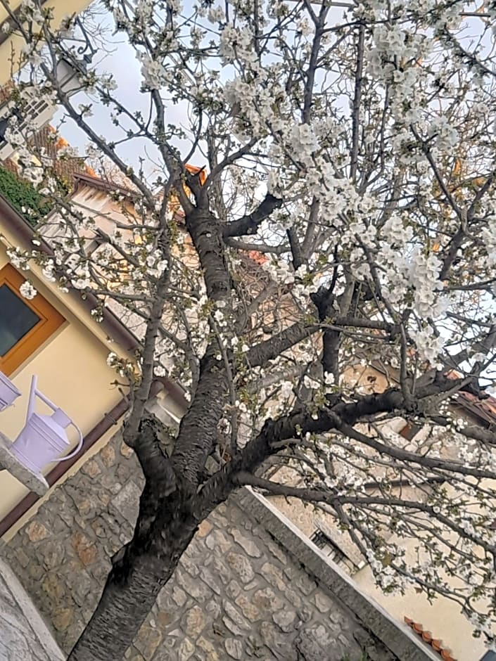 Bed & Breakfast Barbara