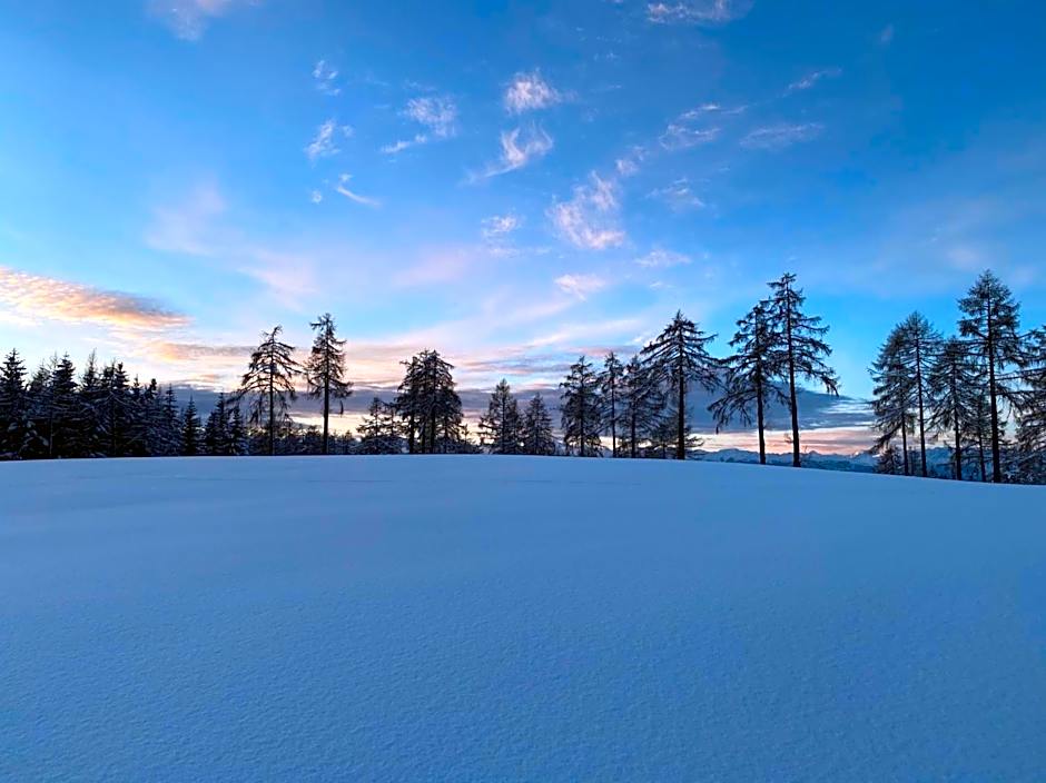 Michlhaus nature and suites