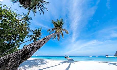 Summer Bay Resort Lang Tengah Island