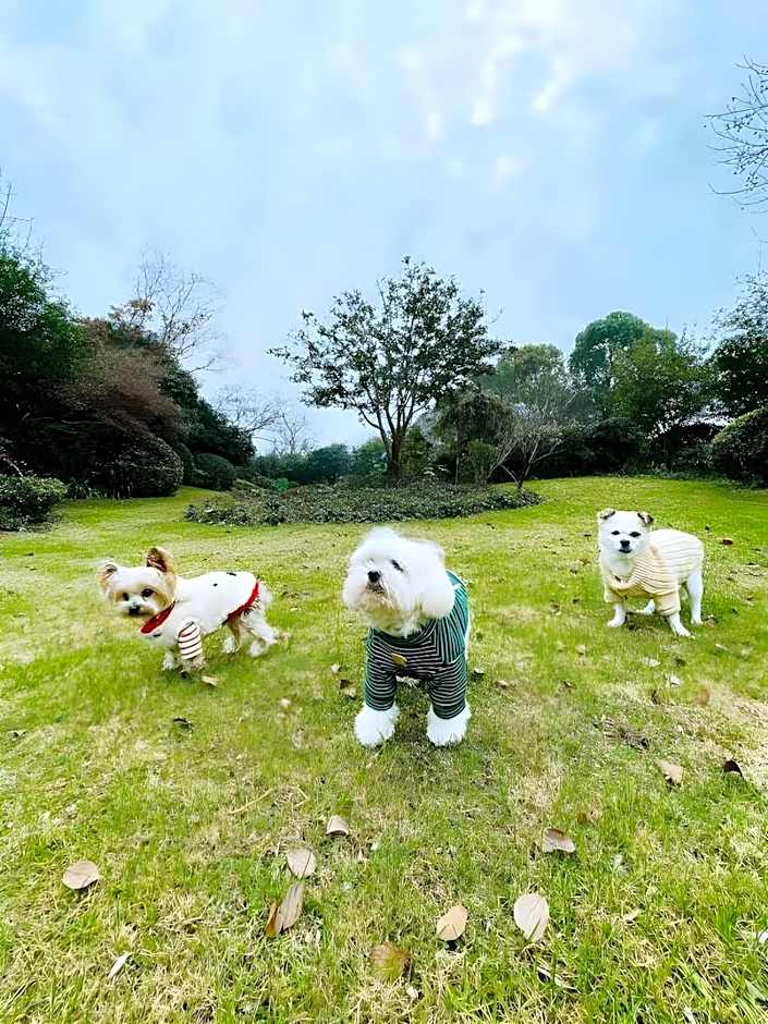 Blossom House Wuxi Yangshan Taohua Island