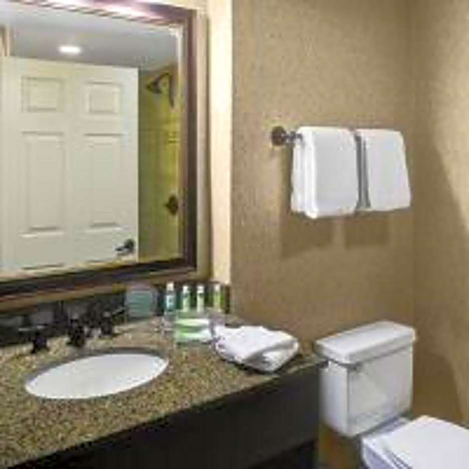 Holiday Inn Express Hotel & Suites Atlanta Buckhead By IHG
