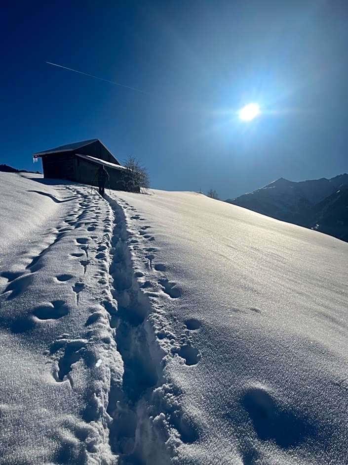 Hotel B&B VILLA-ALPIN