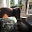 The Swan Hotel, Wells, Somerset - The Coaching Inn Group