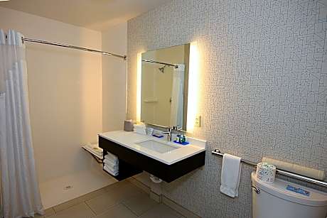 1 King Bed Suite Sofa Bed