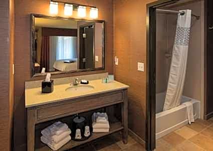 Hampton Inn & Suites Springdale/Zion National Park