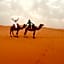 Desert Camel Trekking Camp