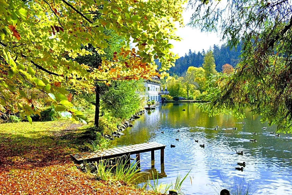 Hotel Langenwaldsee